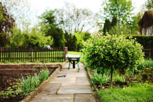 jardin-brouette