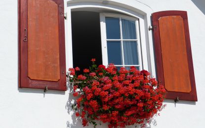 Donner un coup de jeune à sa maison en repeignant les volets !