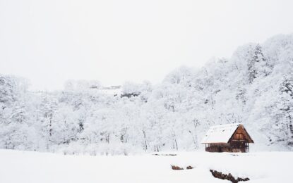 Pourquoi investir à la montagne ?